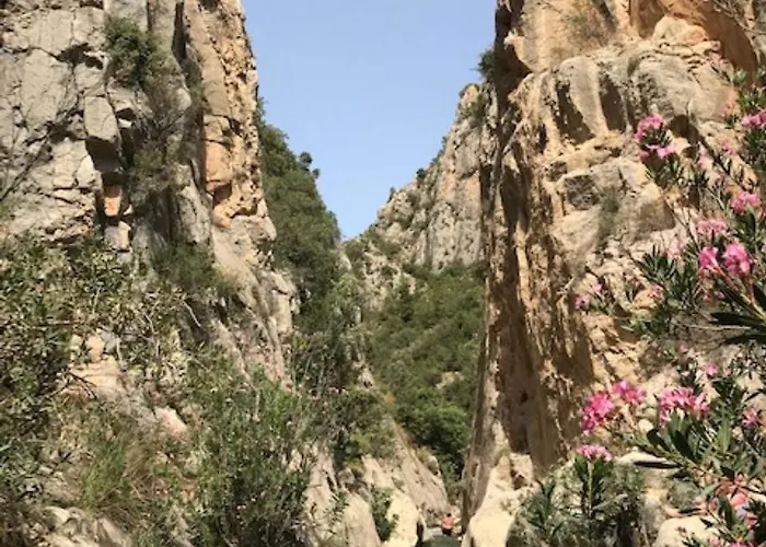 Апартаменты Punta Prima Oasis Fase 9 *